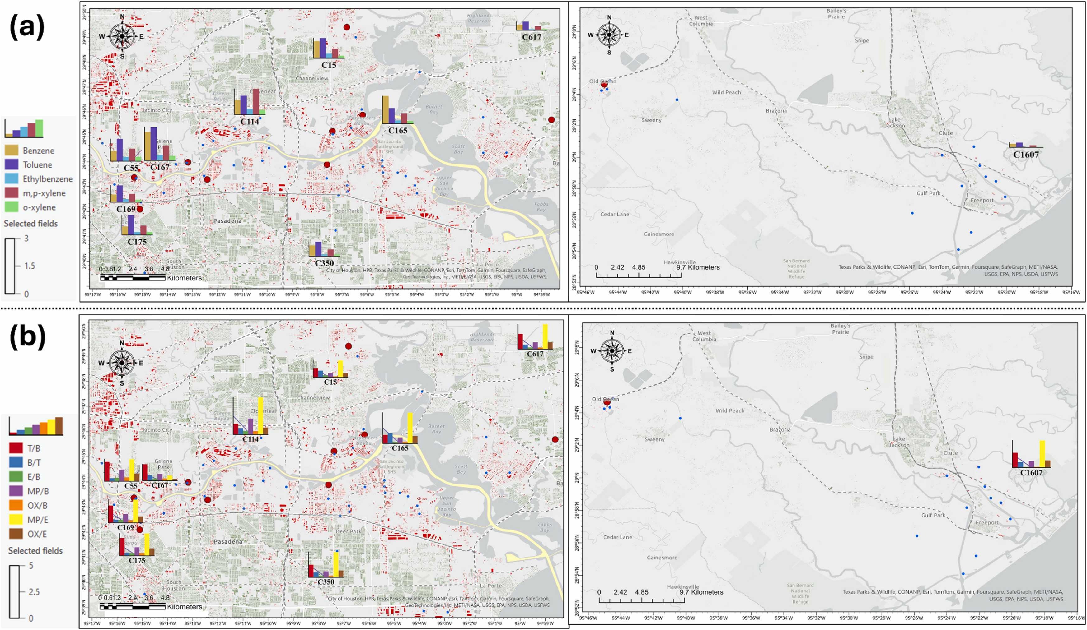 Figure 5. Spatial map with charts of concentrations and inter-species ratios
